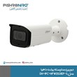 Dahua Bolt CCTV camera model DH-IPC-HFW2531EP-S